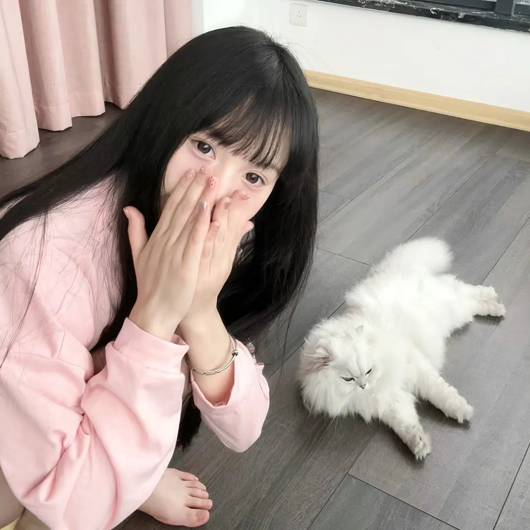 猫的葬礼
